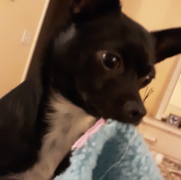 ๐ฌ Shop till you drop! ๐ฌ - Picture 7 of 7